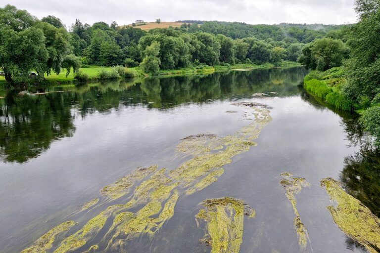 Zaproszenie na wystawę 10x10x10 Słonne Spotkanie Artystów 2026